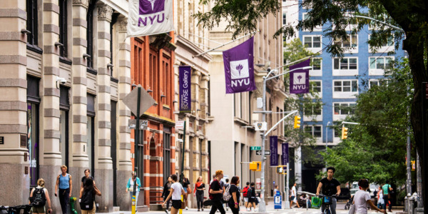 New York University