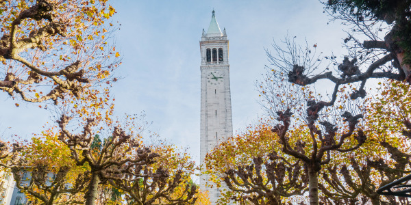 Studying in USA: Public Universities