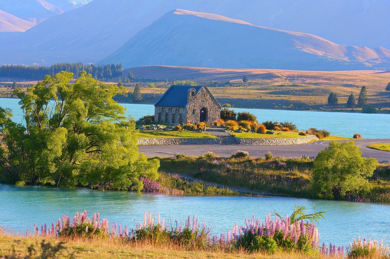 Gambar Beasiswa New Zealand