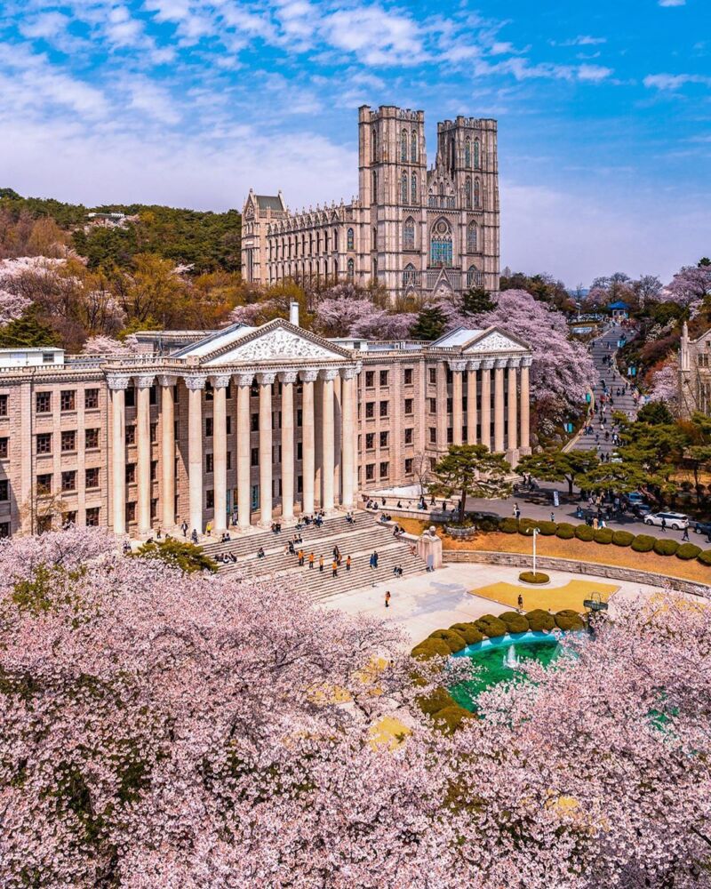 kyung Hee university
