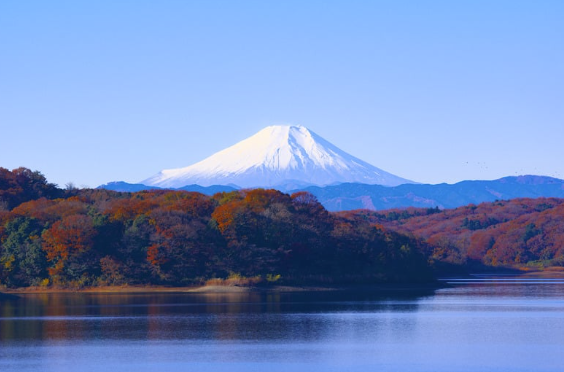 Kuliah di Tokyo Institute