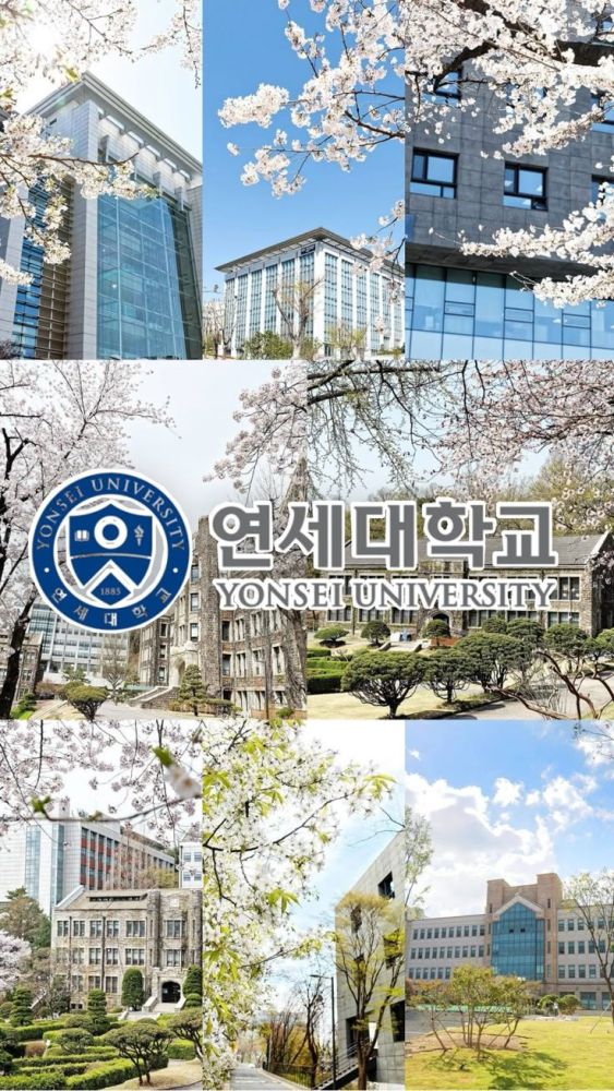 yonsei International summer school